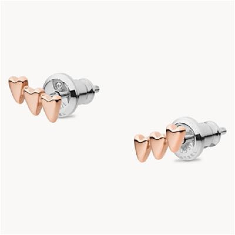 Fossil JF03367791